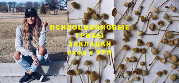 дмт Кукмор