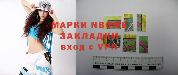 сатива Куйбышев