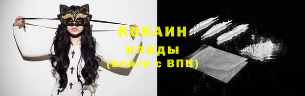 сатива Куйбышев