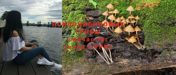 стафф Кулебаки