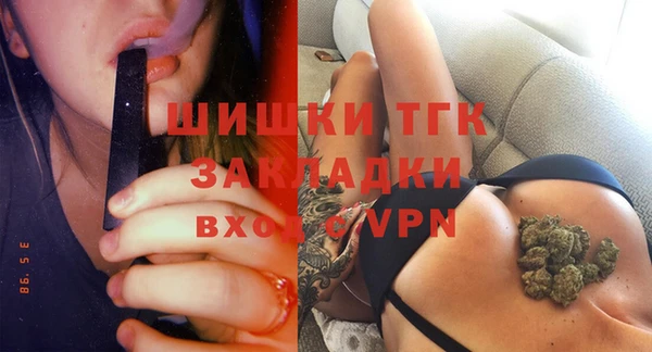 сатива Куйбышев