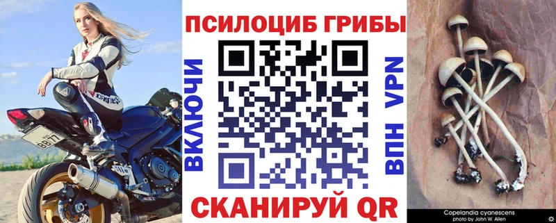 mega tor  площадка клад  Новосокольники  Галлюциногенные грибы ЛСД  где продают наркотики 